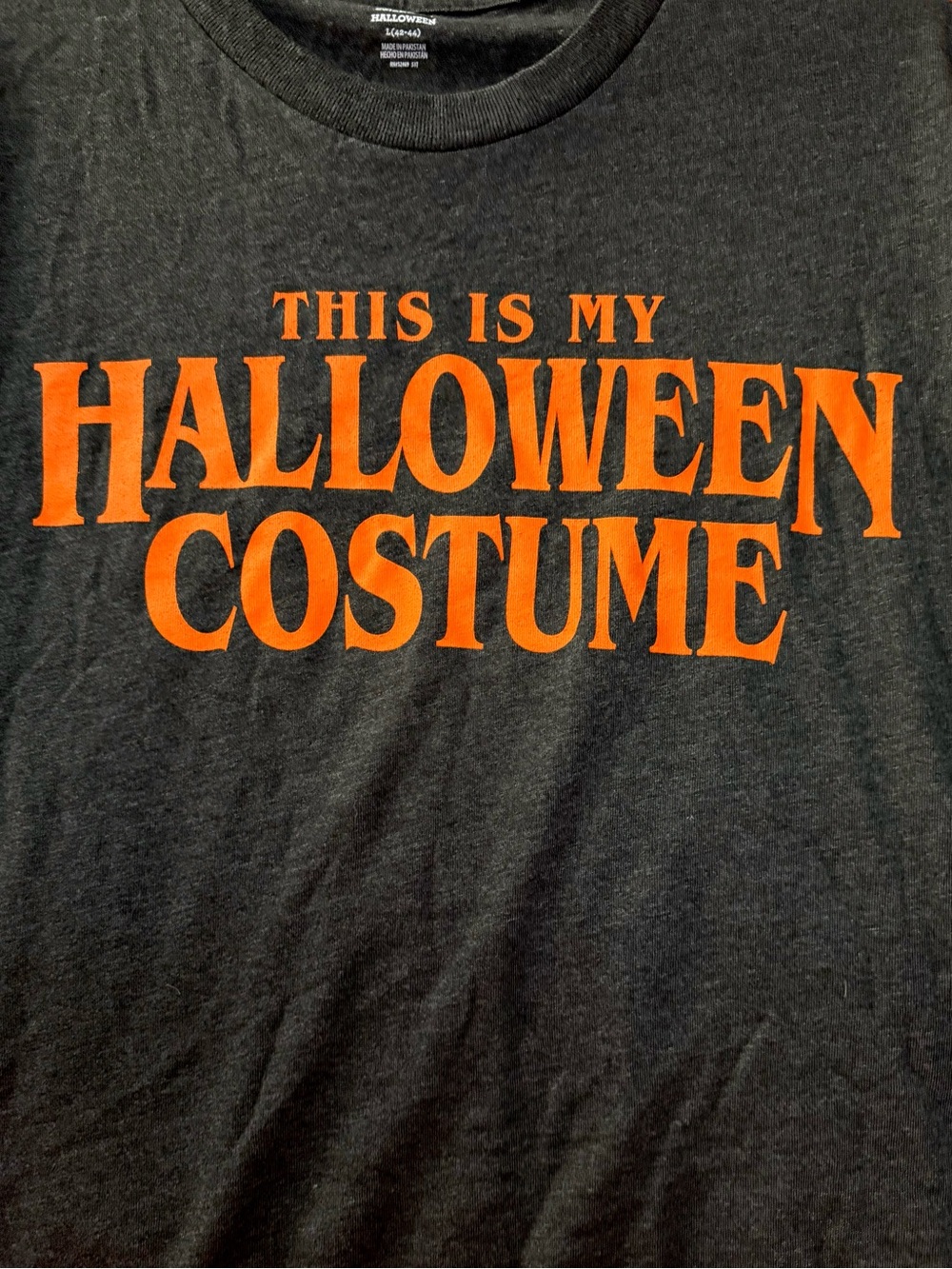 🔥This Is My Halloween Costume Graphic T-Shirt Size L